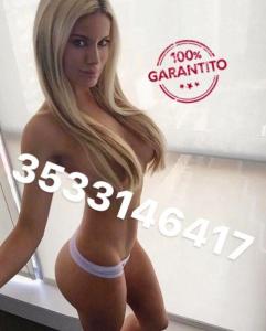 3533146417