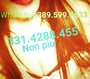 3895997633